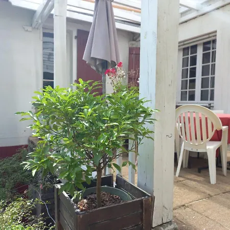 Maysou De Noé Maison d'hôtes